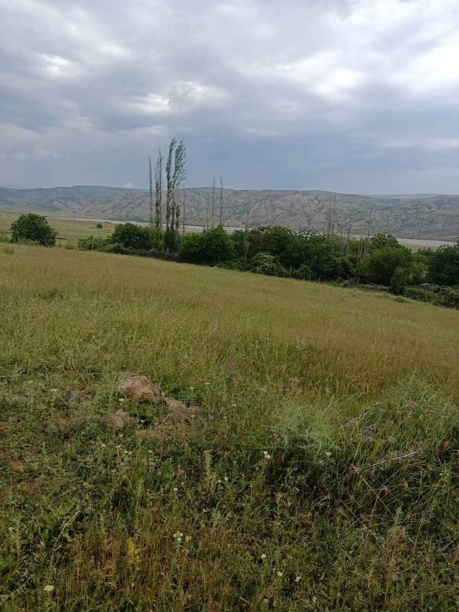 300 sot torpaq sahəsi, Şamaxı r. — Torpaq, Şamaxı (7)