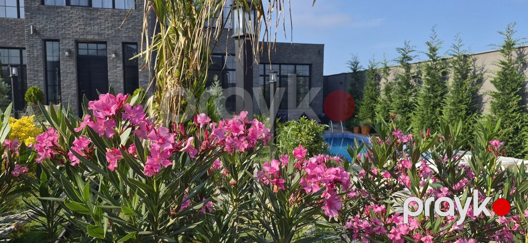İcarəyə verilir 7 otaqlı həyət evi/bağ evi 300 m² — Ev, villa, Bakı (7)