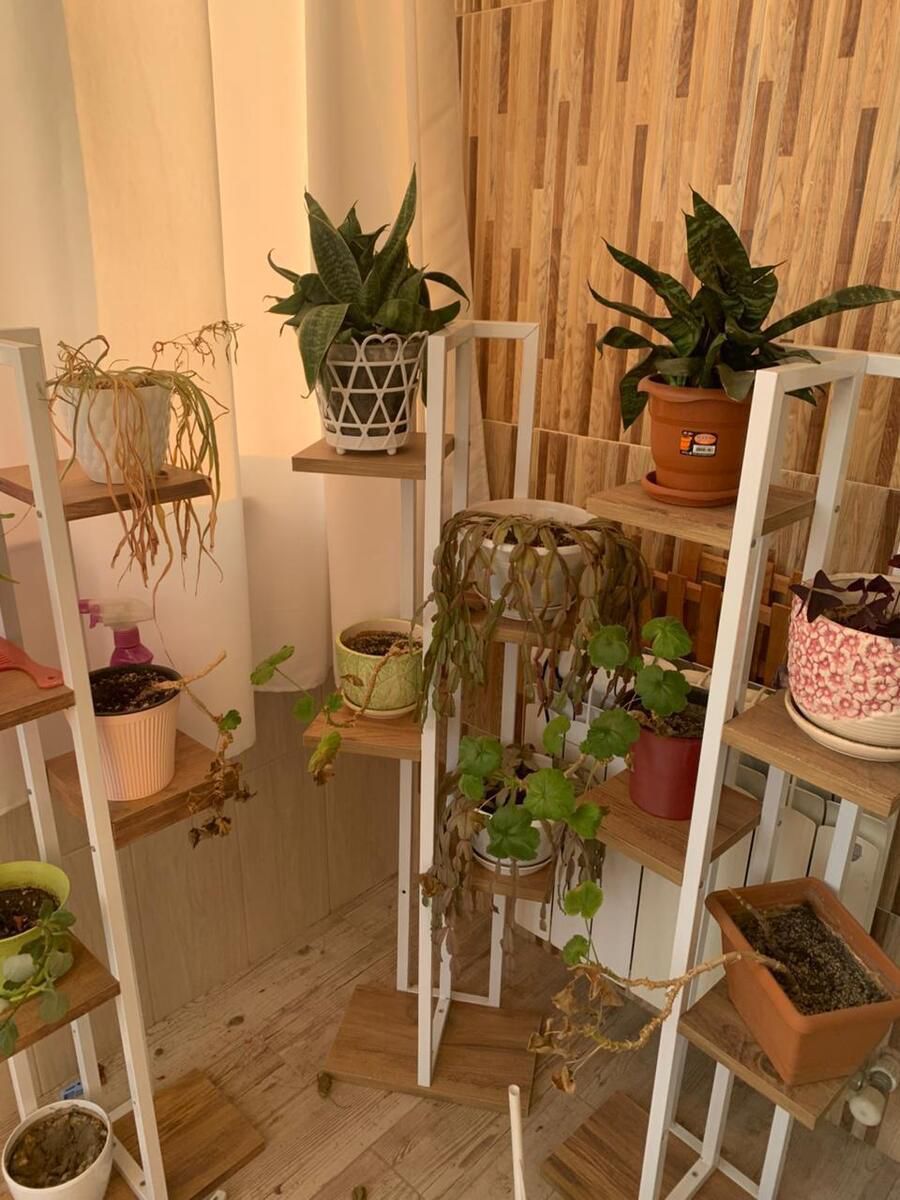 Satılır 3 otaqlı yeni tikili 113 m² — Mənzil, Bakı