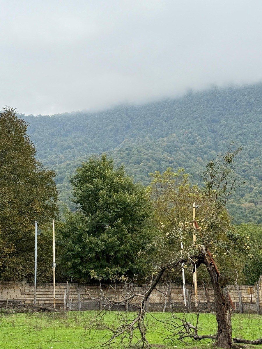 Satılır torpaq 4 sot — Torpaq, Qəbələ (9)