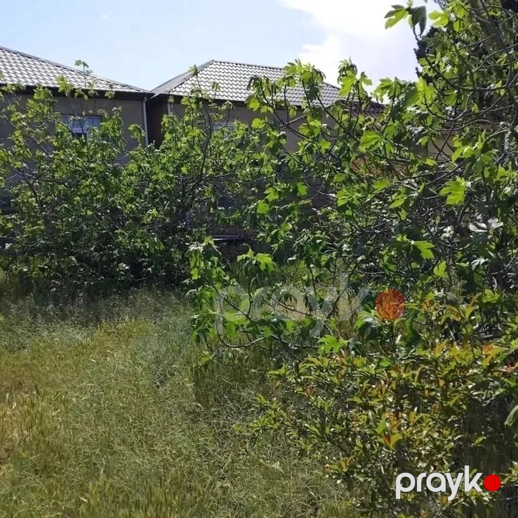 3 sot, Mülkiyyətçi, Kupça (Çıxarış) — Torpaq, Sumqayıt (2)