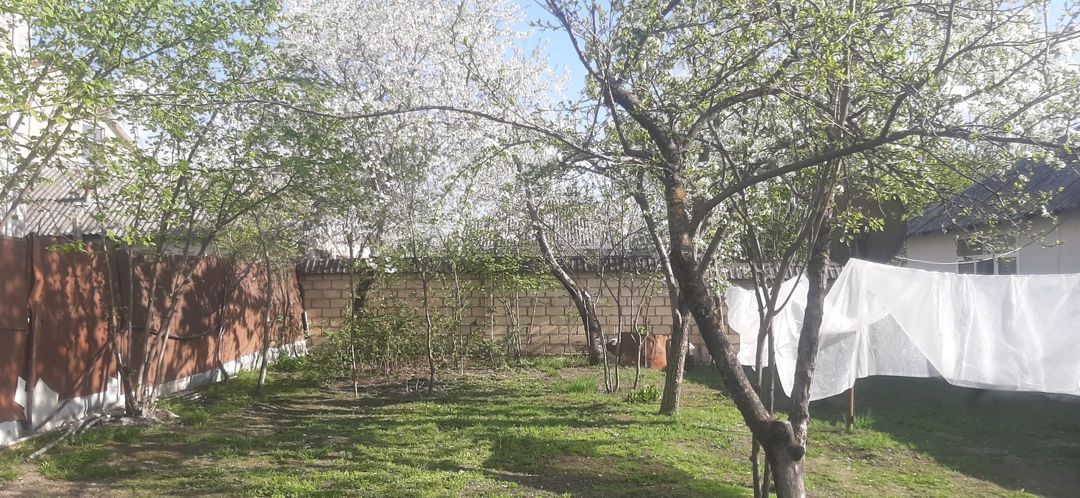 3.4 sot torpaq sahəsi, Cəlil Məmədqulzadə k. — Torpaq, Qəbələ (2)