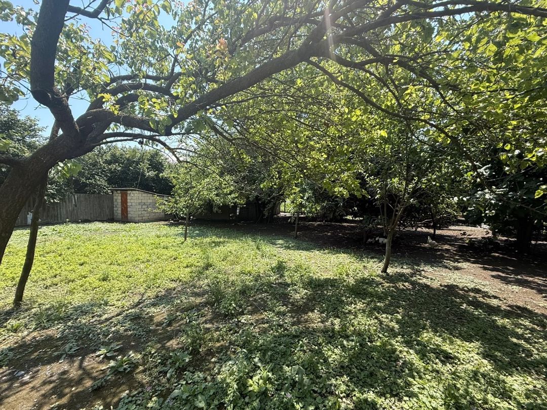 Satılır 4 otaqlı həyət evi/bağ evi 107.1 m² — Ev, villa, Zaqatala (2)