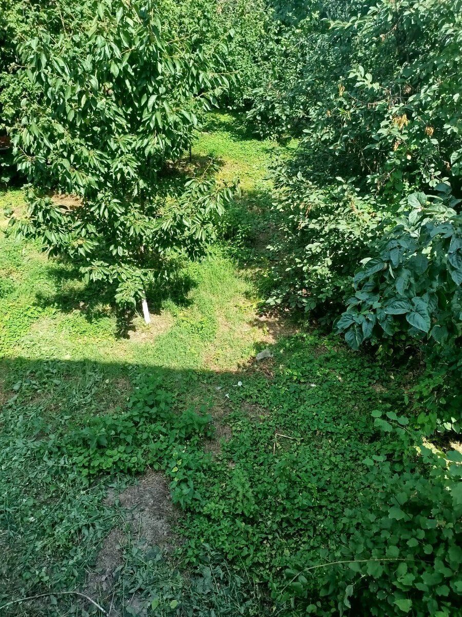 Bağ evi kirayə verilir, Qusar r. — Daşınmaz əmlak, Qusar (9)