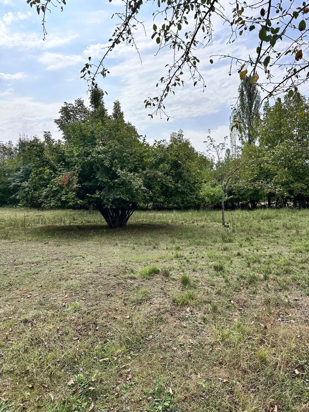 60sot torpaq satilir Asvaltdan mesafə 400metr Dag menzereli Kommunal — Qida məhsulları, Qəbələ