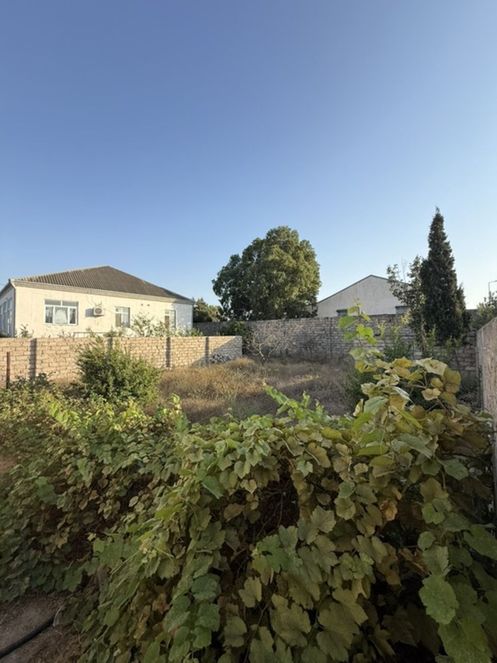 4 sot, Tikinti, Kupça (Çıxarış) — Torpaq, Digah