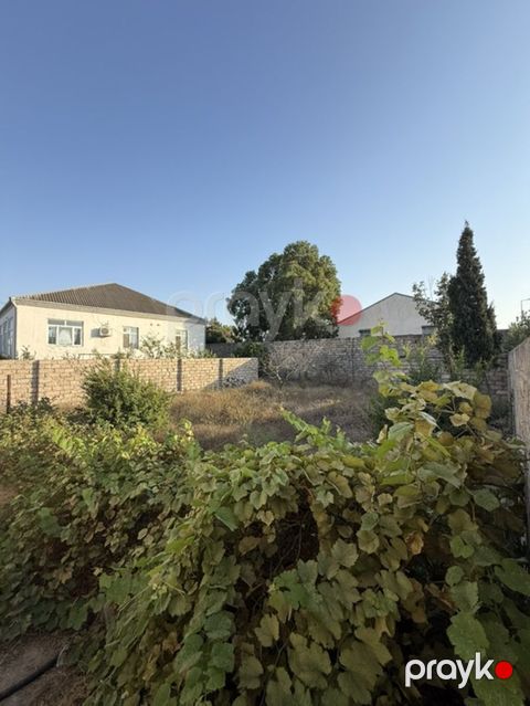 4 sot, Tikinti, Kupça (Çıxarış)