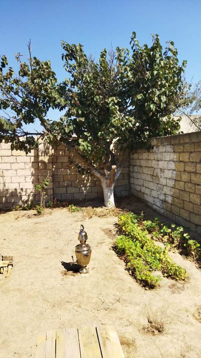 Satılır 2 otaqlı həyət evi/bağ evi 50 m² — Ev, villa, Bakı (3)