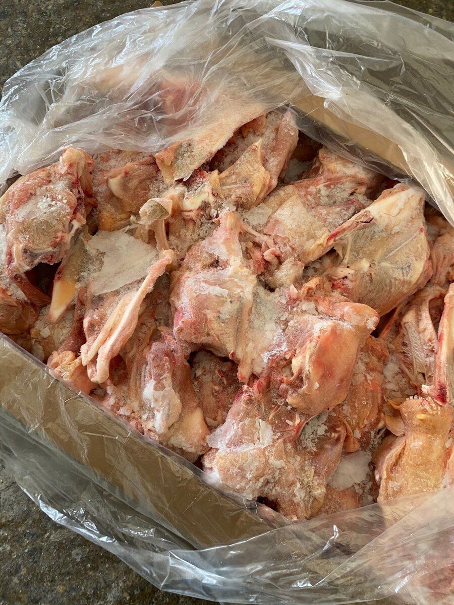 Toyuq beli — Heyvanlar, Bakı