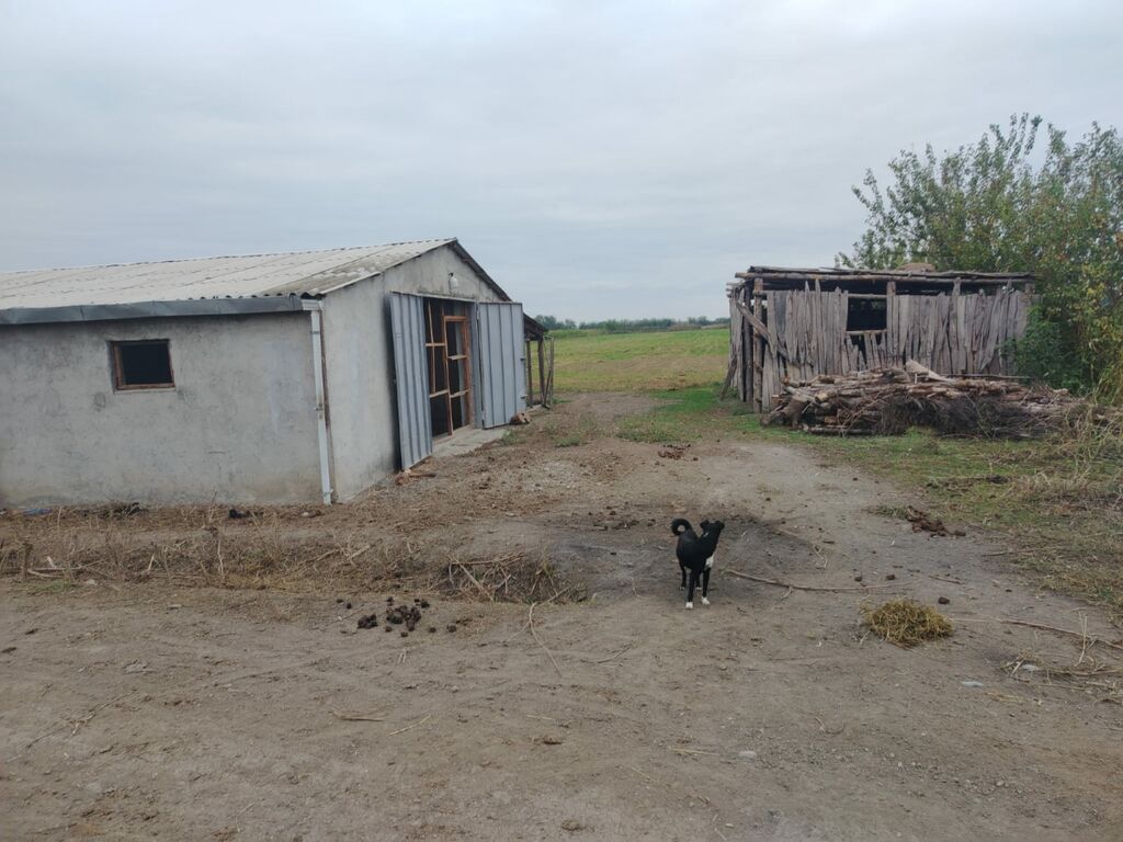 Ferma mal bazarina bir kilometr mesafede yerlesirqarabag su — Daşınmaz əmlak, Bərdə (8)
