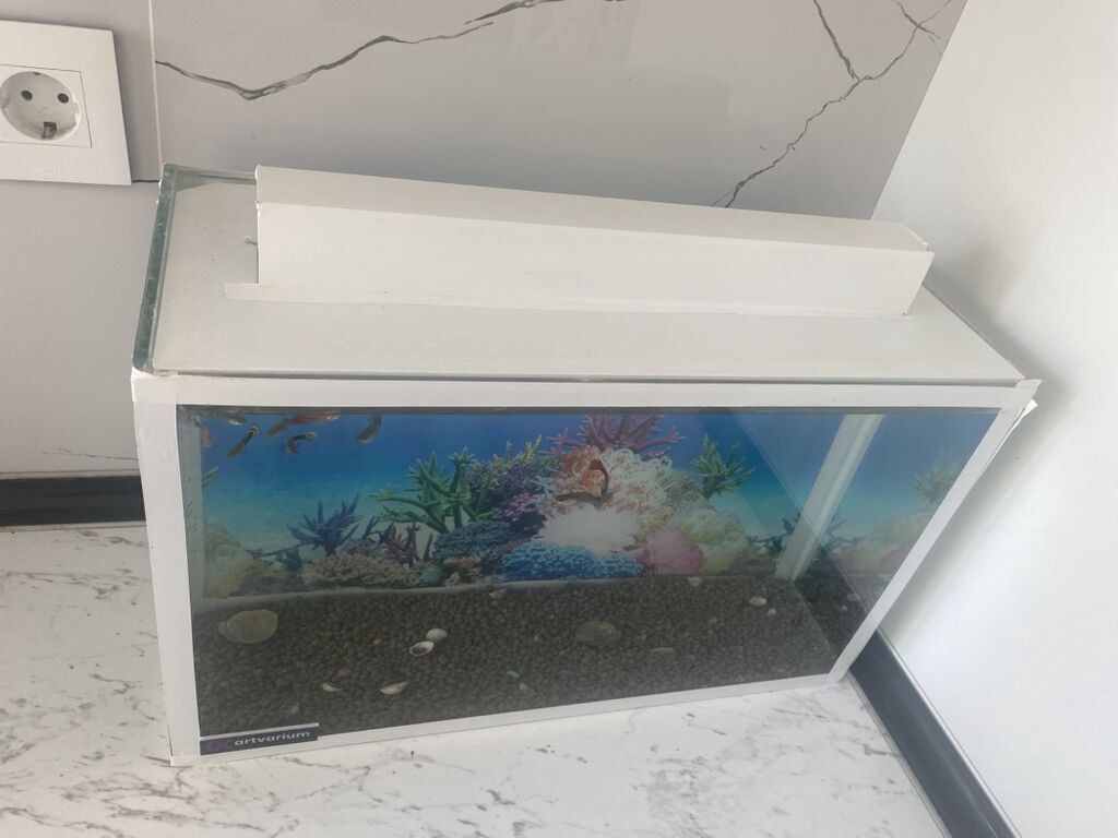 Dördbucaq akvarium, Balıqlarla birlikdə, 15 l, Ünvandan götürmə — Heyvanlar, Digah (6)