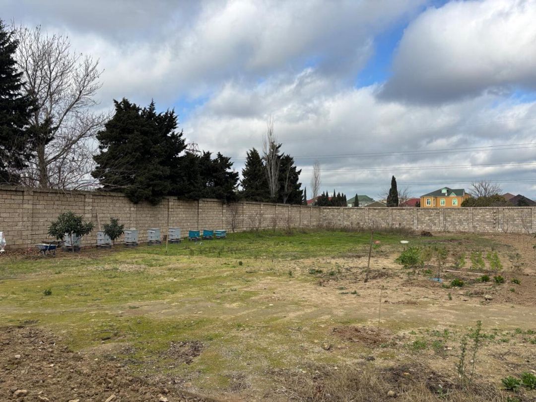 Satılır torpaq 10 sot — Torpaq, Bakı (2)