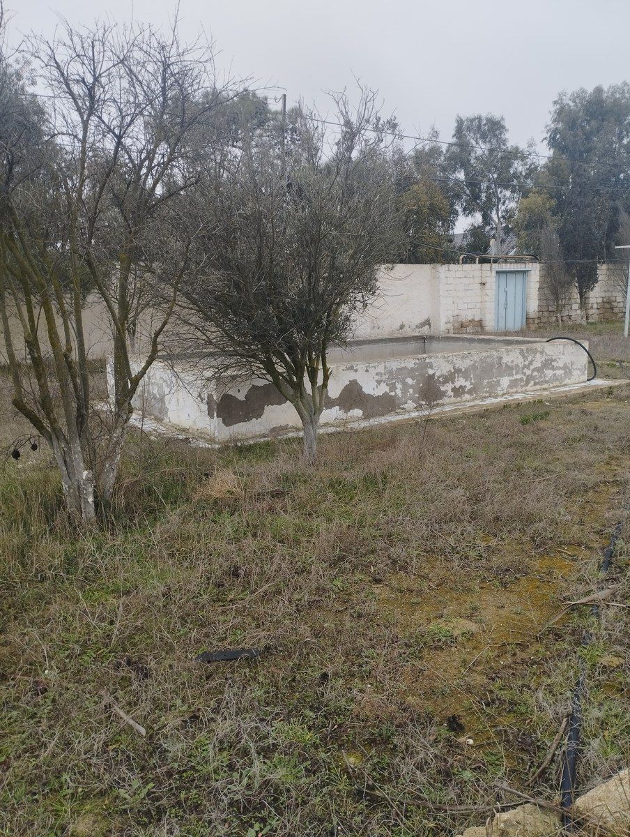 Satılır torpaq 14.5 sot — Torpaq, Bakı (7)