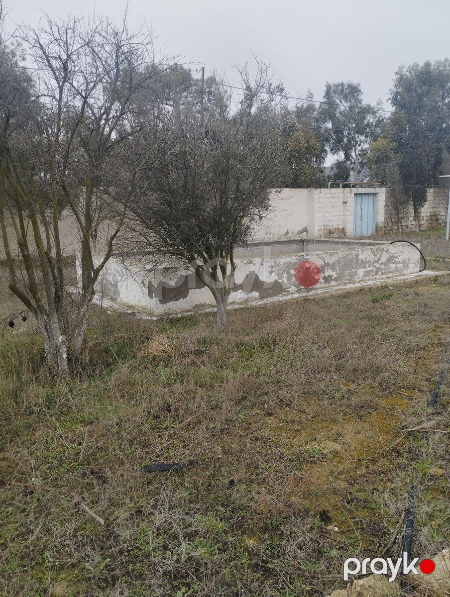 Satılır torpaq 14.5 sot — Torpaq, Bakı (7)