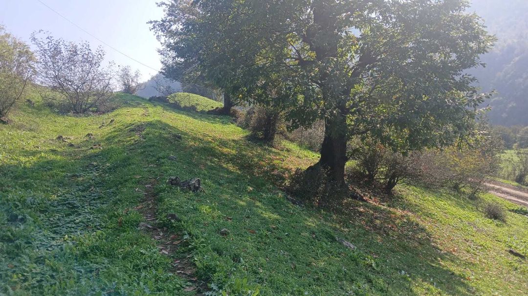 Satılır torpaq 50 sot — Torpaq, Yardımlı (2)