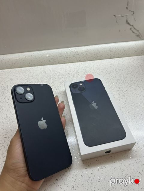 IPhone 13, Qara
