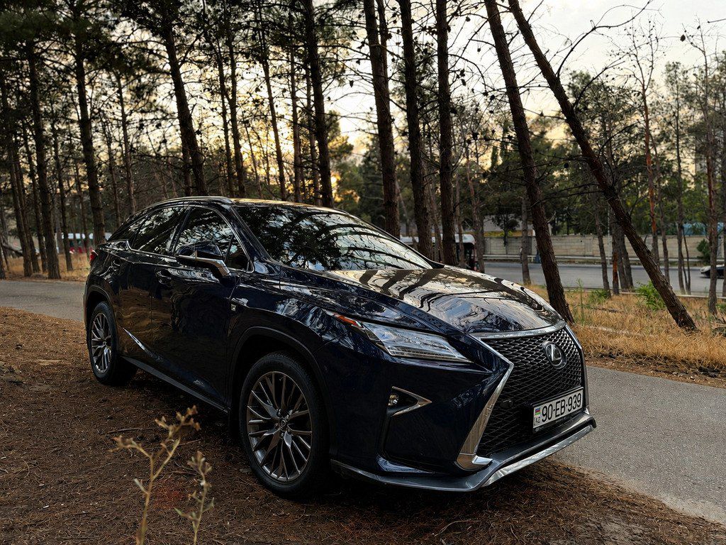 Lexus RX 300, 2.0 L, 2019 il, 125 000 km — Avtomobillər, Bakı (2)