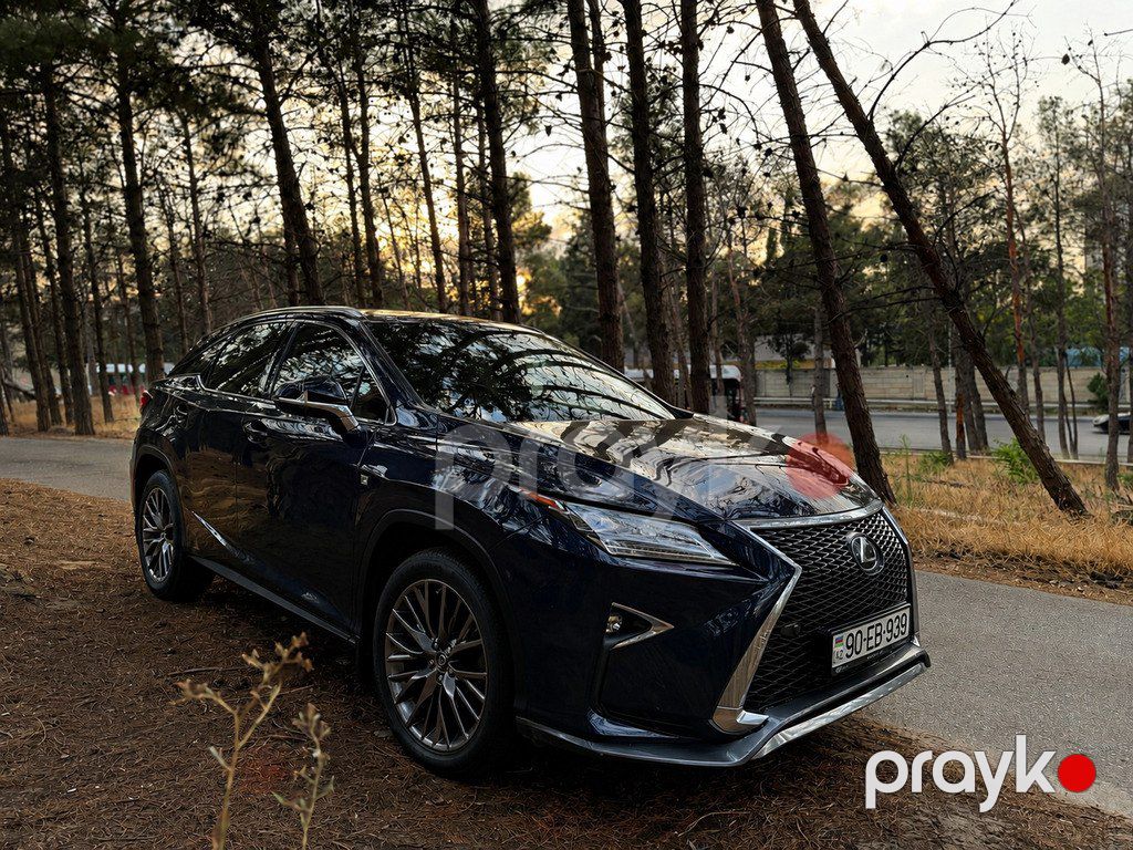 Lexus RX 300, 2.0 L, 2019 il, 125 000 km — Avtomobillər, Bakı (2)
