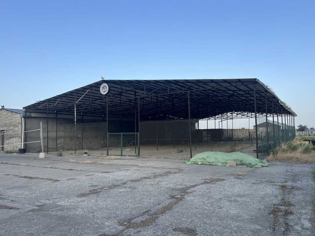 İcarəyə verilir obyekt 870 m² — Əmlak, Bakı (5)