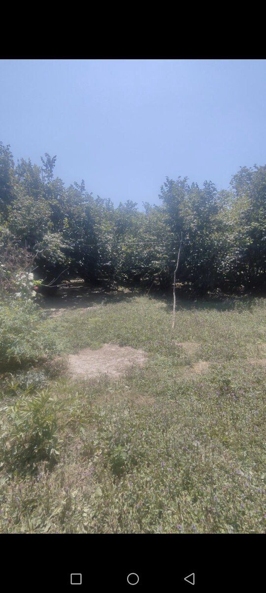 11.25 sot torpaq sahəsi, İsmayıllı r. — Torpaq, İsmayıllı (6)