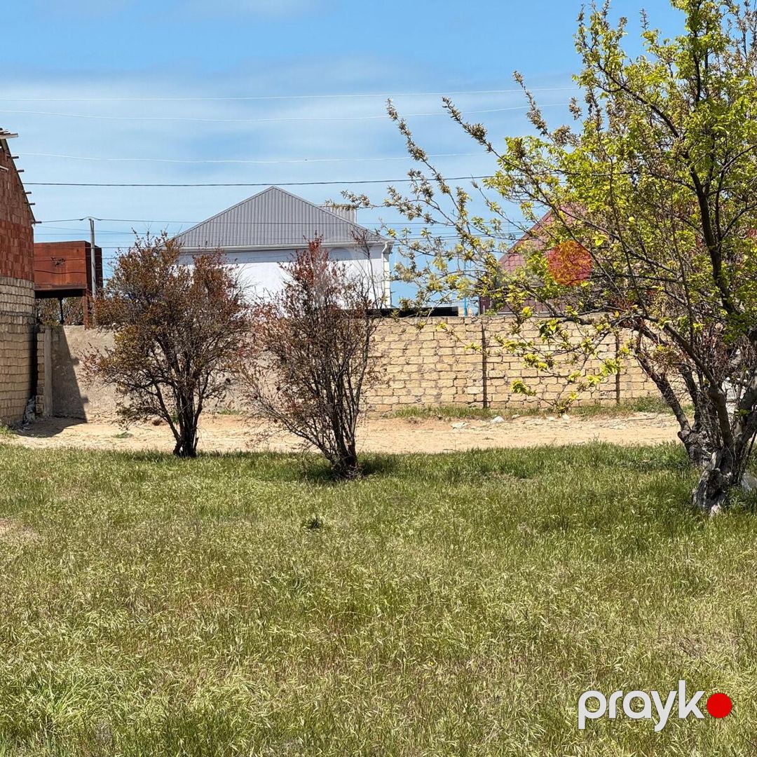 Satılır torpaq 3 sot — Torpaq, Bakı (12)