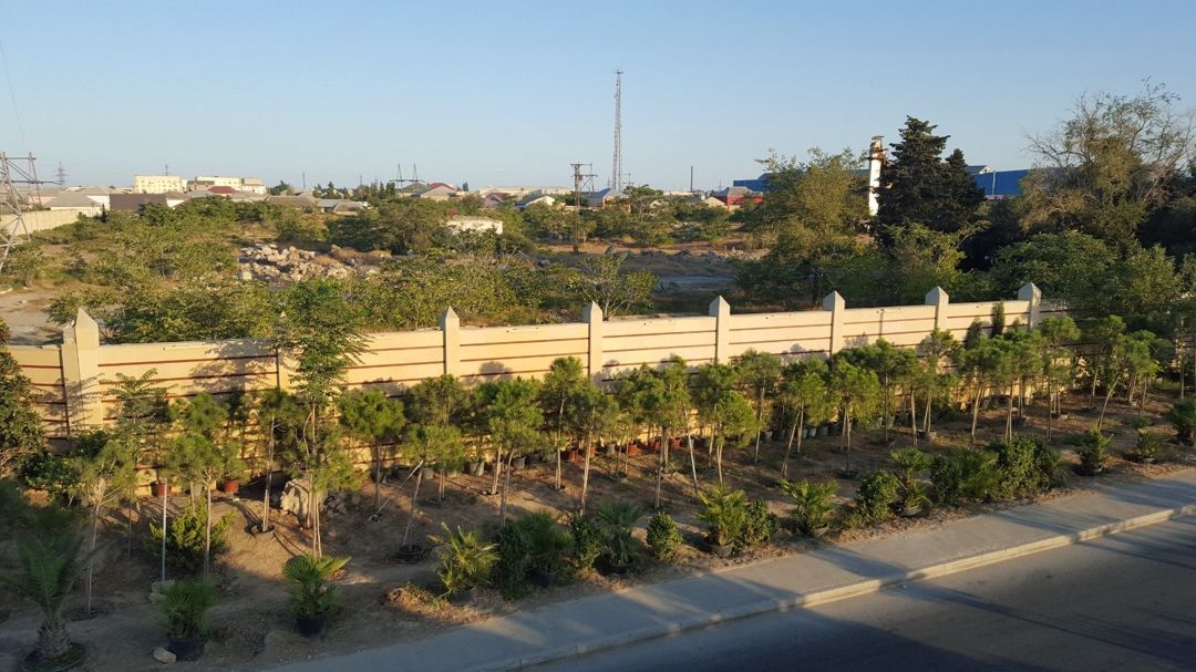 Satılır torpaq 372 sot — Torpaq, Bakı (11)