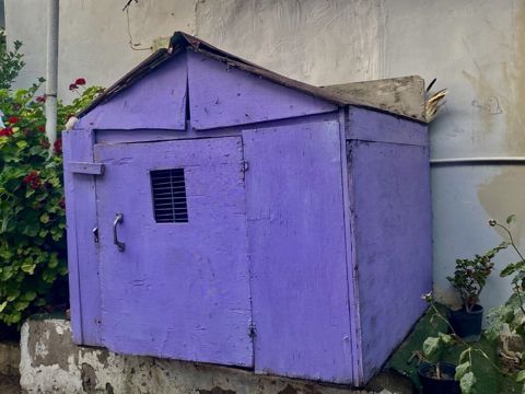 Bənövşəyi quşxana — bağ üçün saxlama quşu
