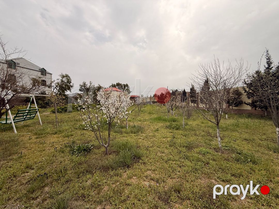 Satılır torpaq 30 sot — Torpaq, Bakı (2)