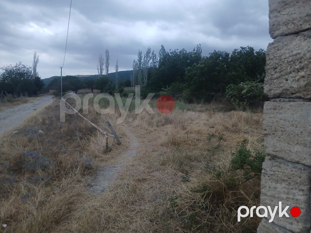 12 sot torpaq sahəsi, Şamaxı r — Torpaq, Şamaxı (3)