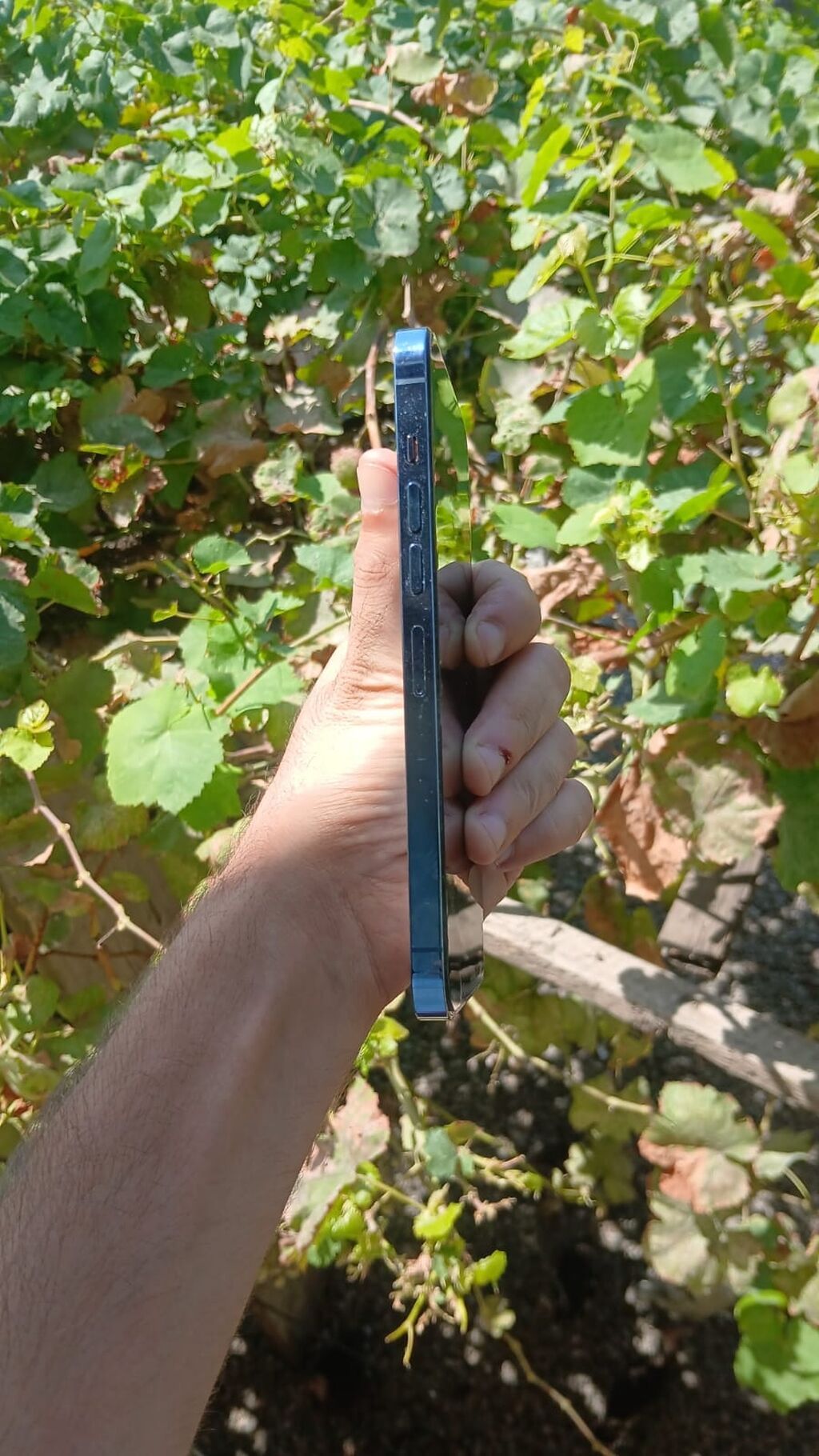 IPhone 13 Pro, Mavi, Face ID — Apple iPhone, Bakı (4)
