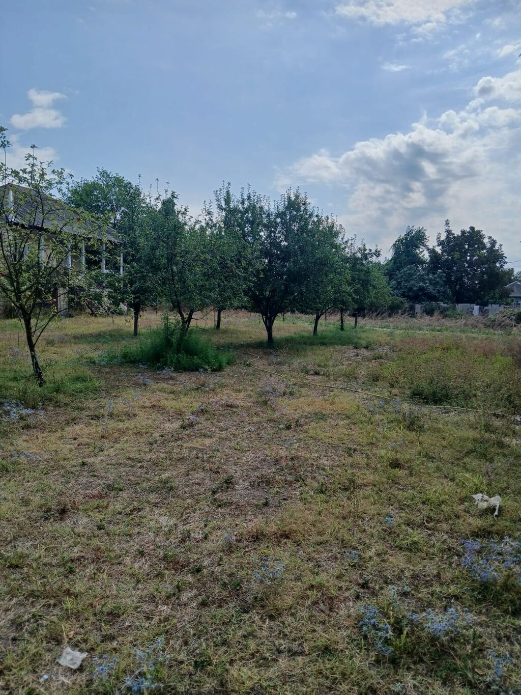 Kənd təsərrüfatı — Torpaq, Qəbələ (2)