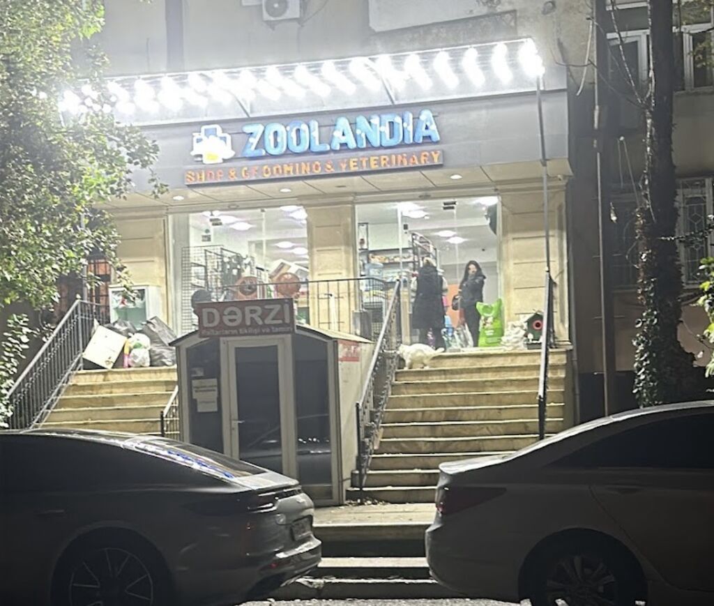 Razin ərazisində yerləşən pet grooming studiyamıza təcrübəli və işinə — Xidmətlər, Bakı