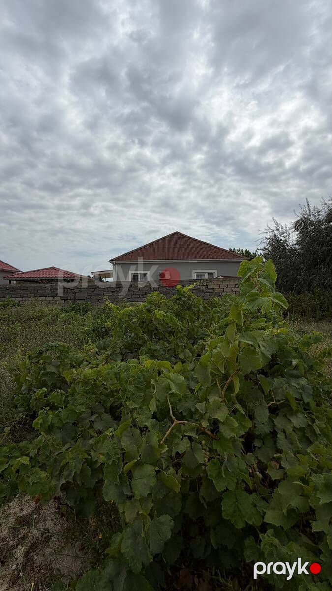 Satılır torpaq 4 sot — Torpaq, Bakı (8)