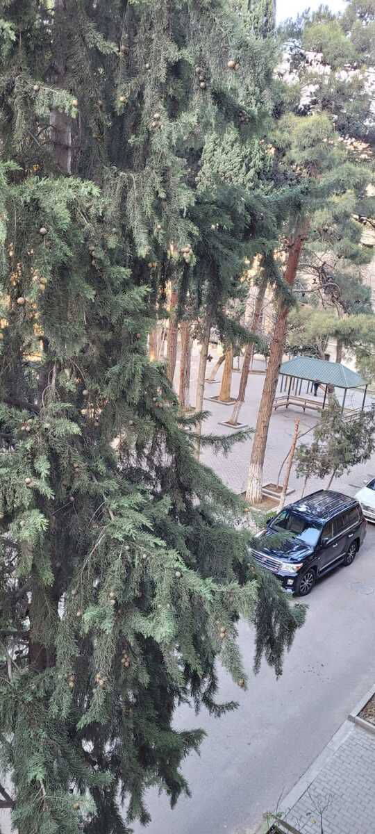 Satılır 3 otaqlı köhnə tikili 80 m² — Mənzil, Bakı (9)