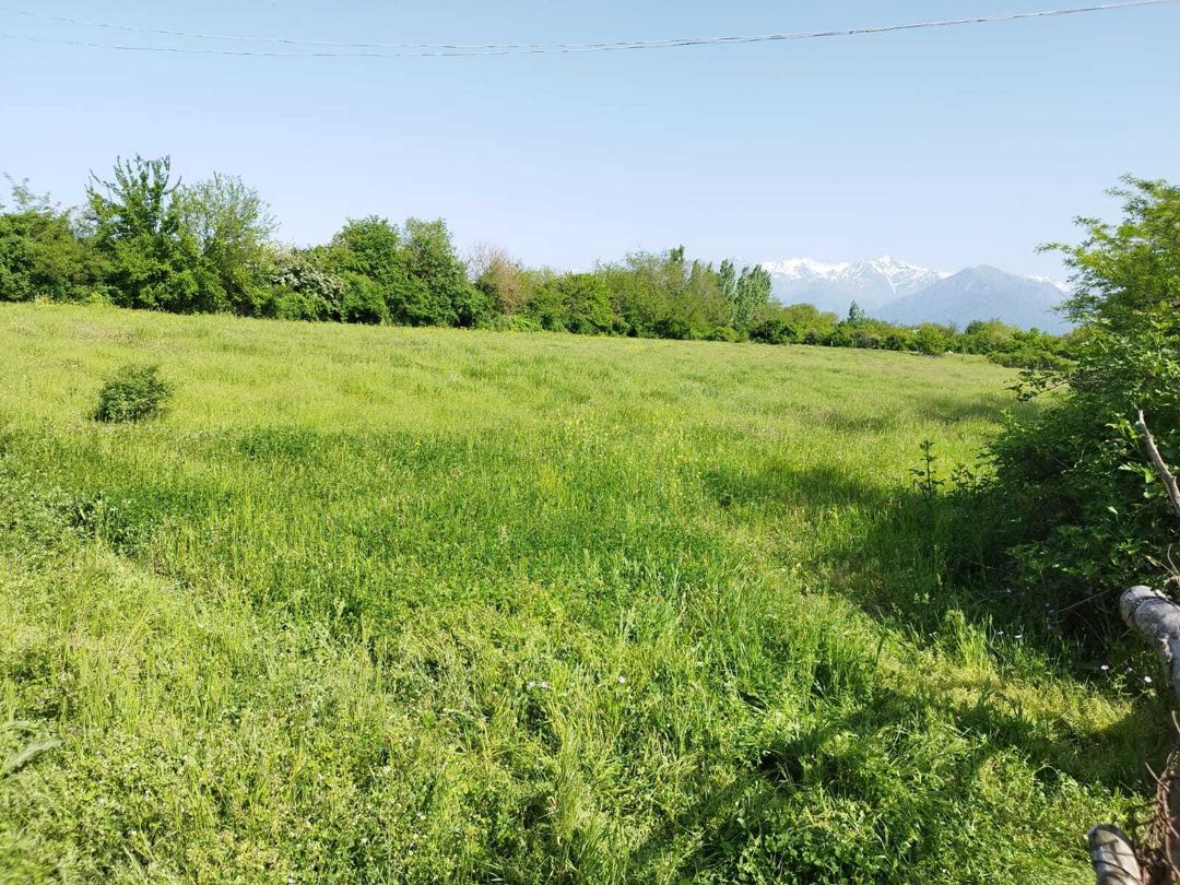 Satılır torpaq 45 sot — Torpaq, Qəbələ (6)