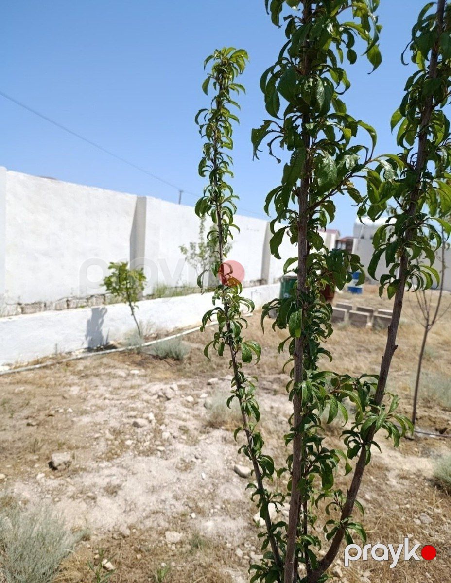 Satılır torpaq 10 sot — Torpaq, Bakı (2)