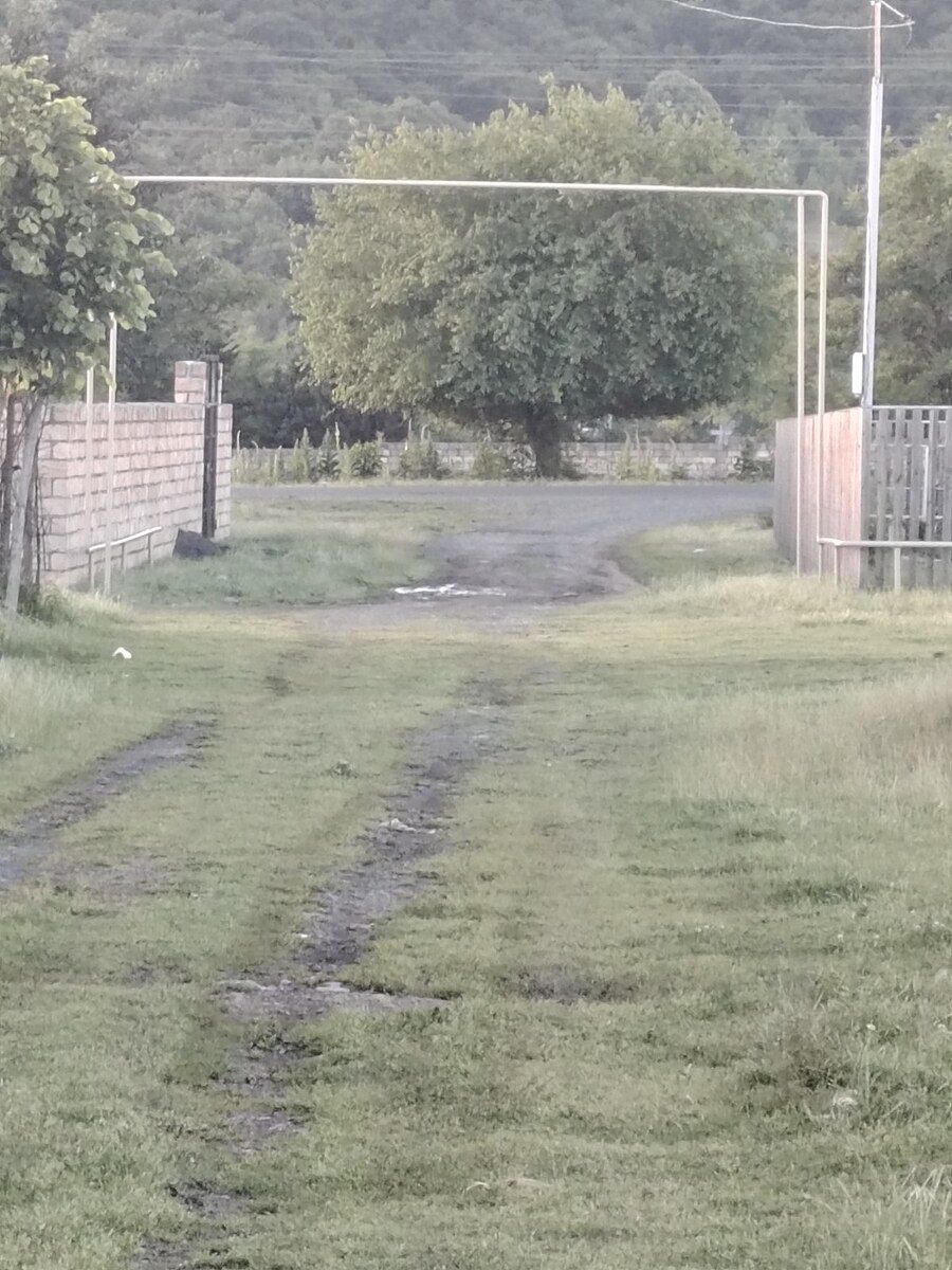 4 sot torpaq sahəsi, Zaqatala r. — Torpaq, Zaqatala (4)
