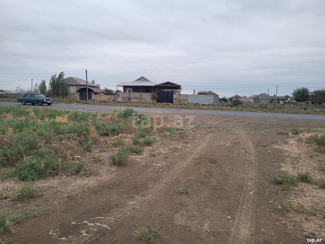 58 sot torpaq sahəsi, Cəlilabad r. — Torpaq, Cəlilabad (5)