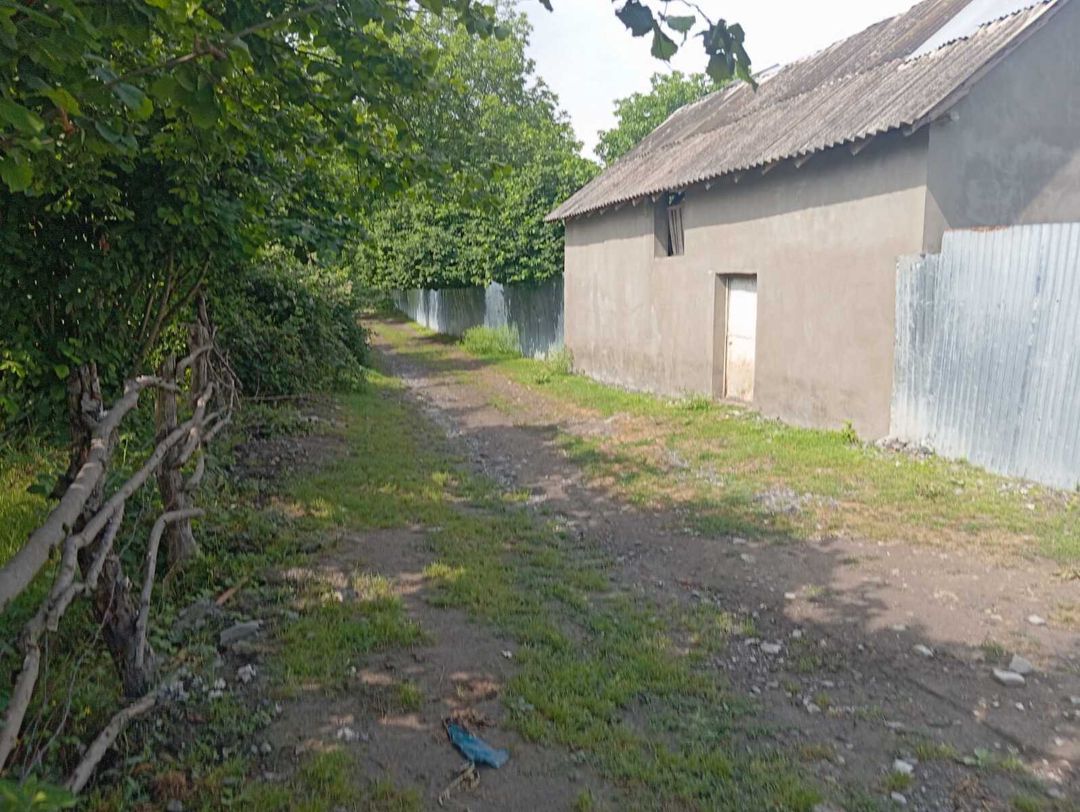 Satılır 4 otaqlı həyət evi/bağ evi 200 m² — Ev, villa, Oğuz (4)