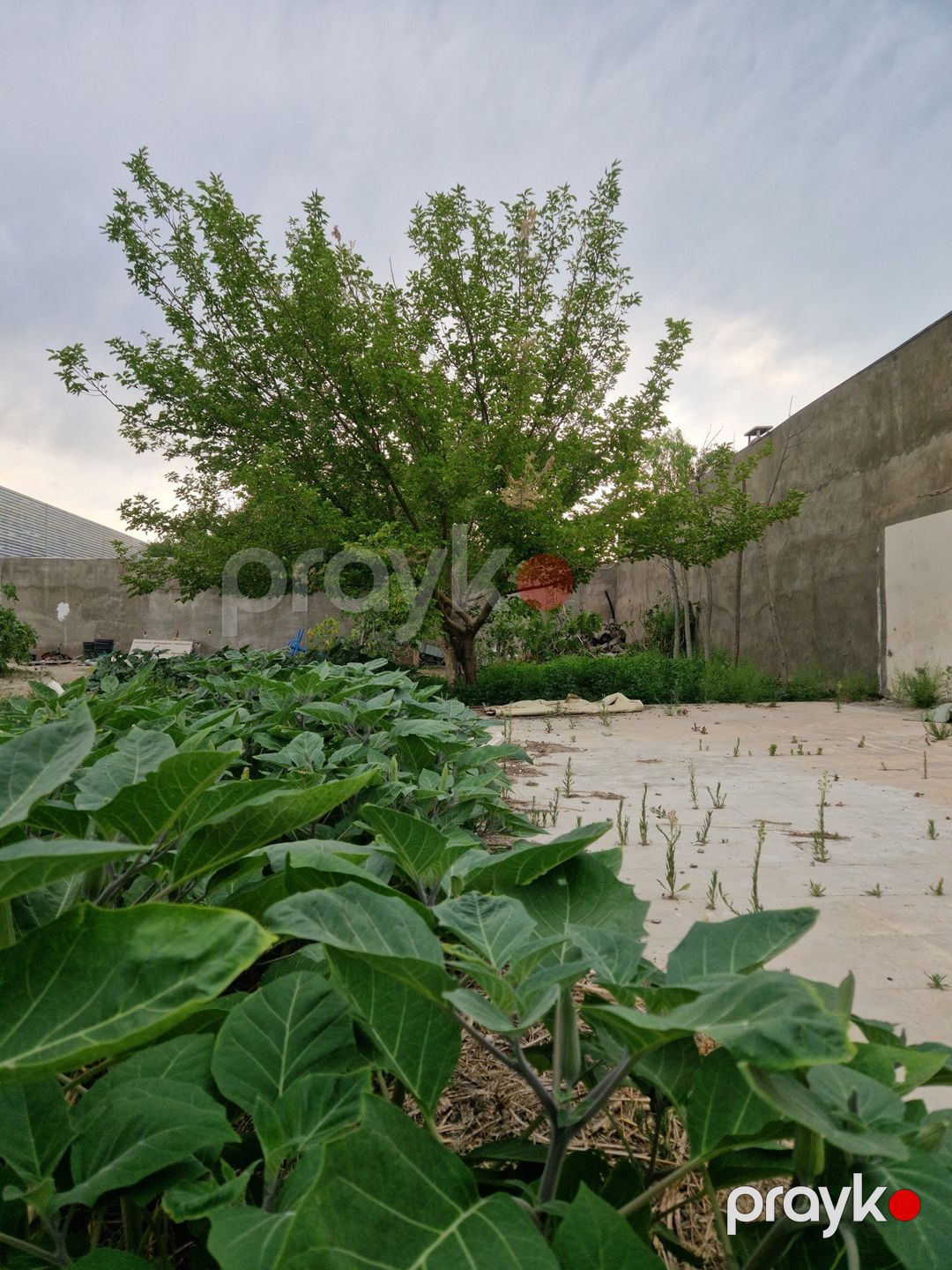 Bilqəh qəsəbəsində torpaq, 12 sot — Torpaq, Bakı (5)