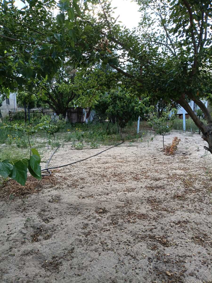 2.6 sot torpaq sahəsi, Corat bağları — Torpaq, Sumqayıt (2)