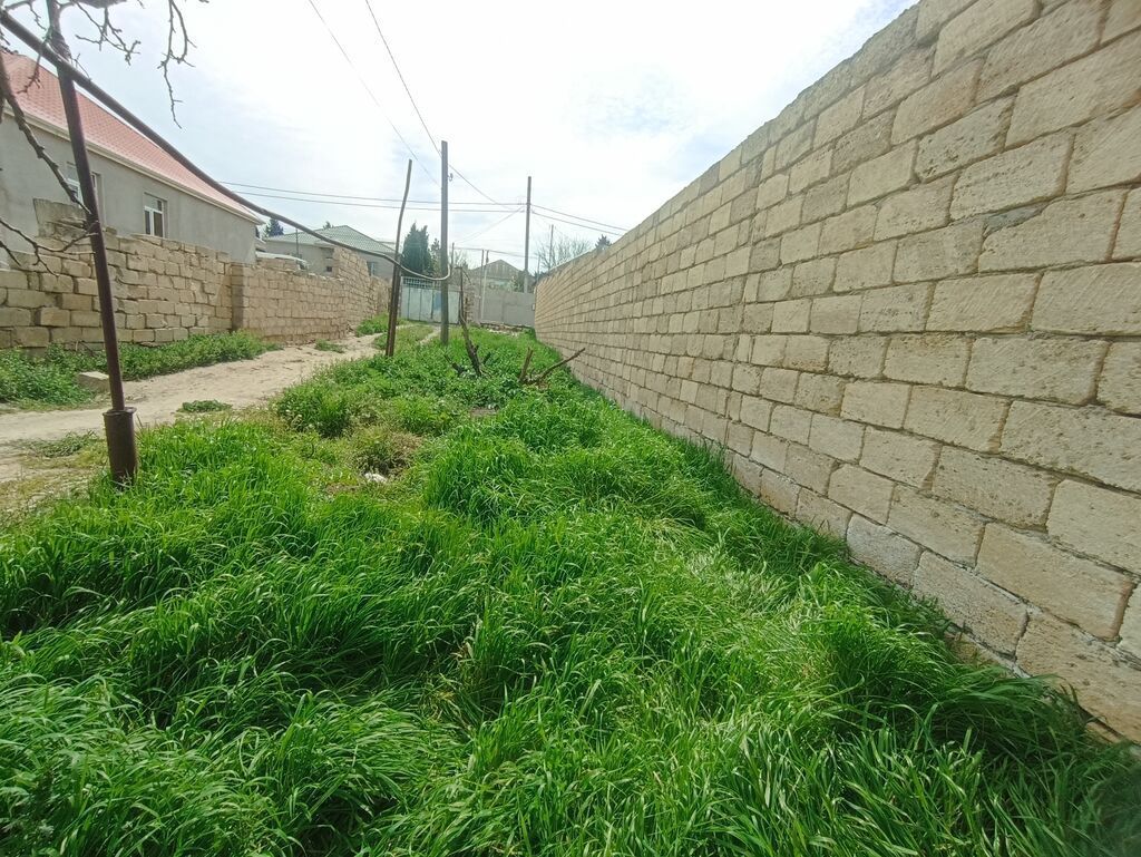 8 sot, Tikinti, Mülkiyyətçi, Kupça (Çıxarış) — Torpaq, Saray (3)