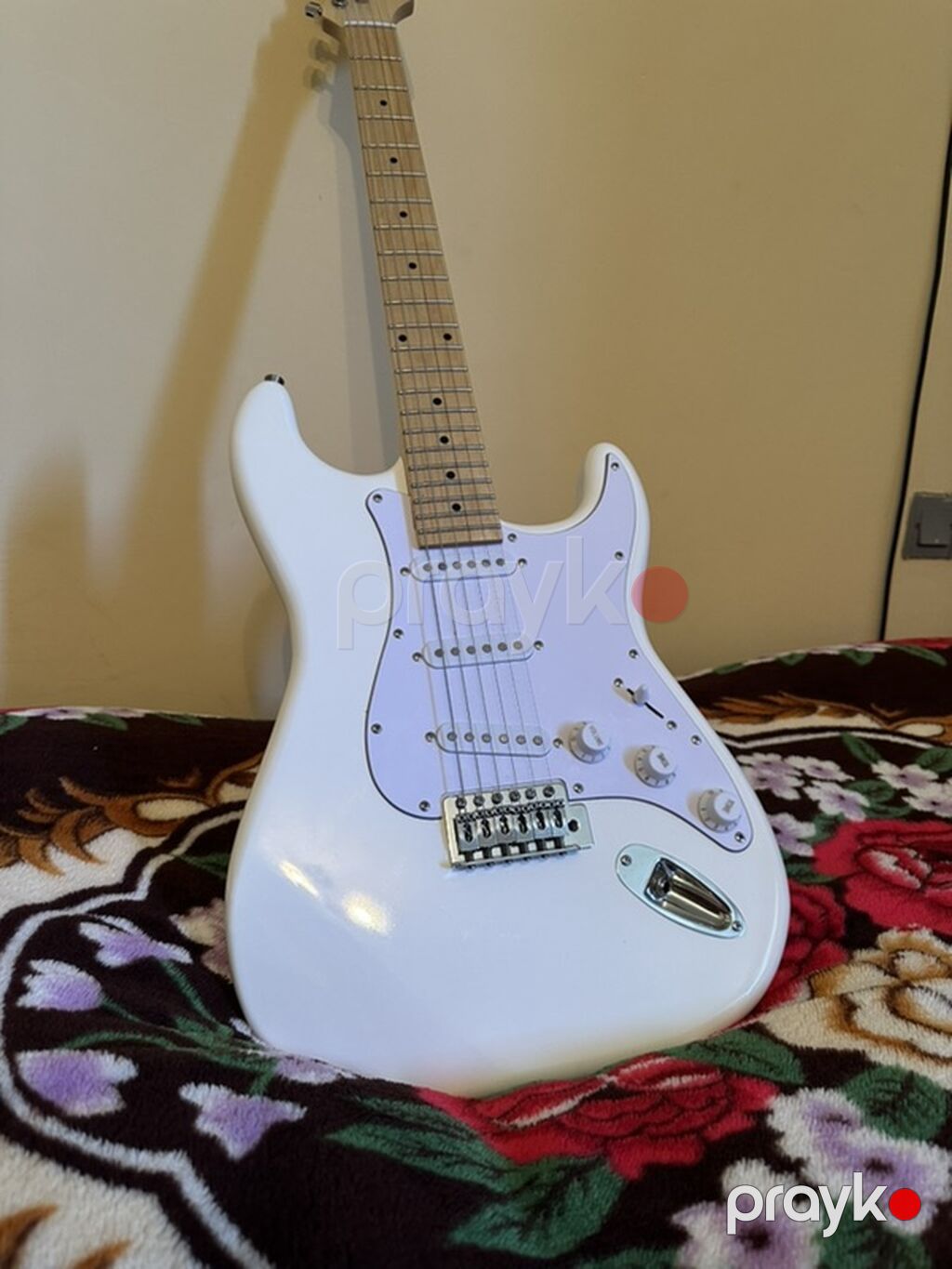 Elektrik gitara + gücləndirici dəsti - Korpus: Strat tərzində, parlaq — Mallar, Digah (3)
