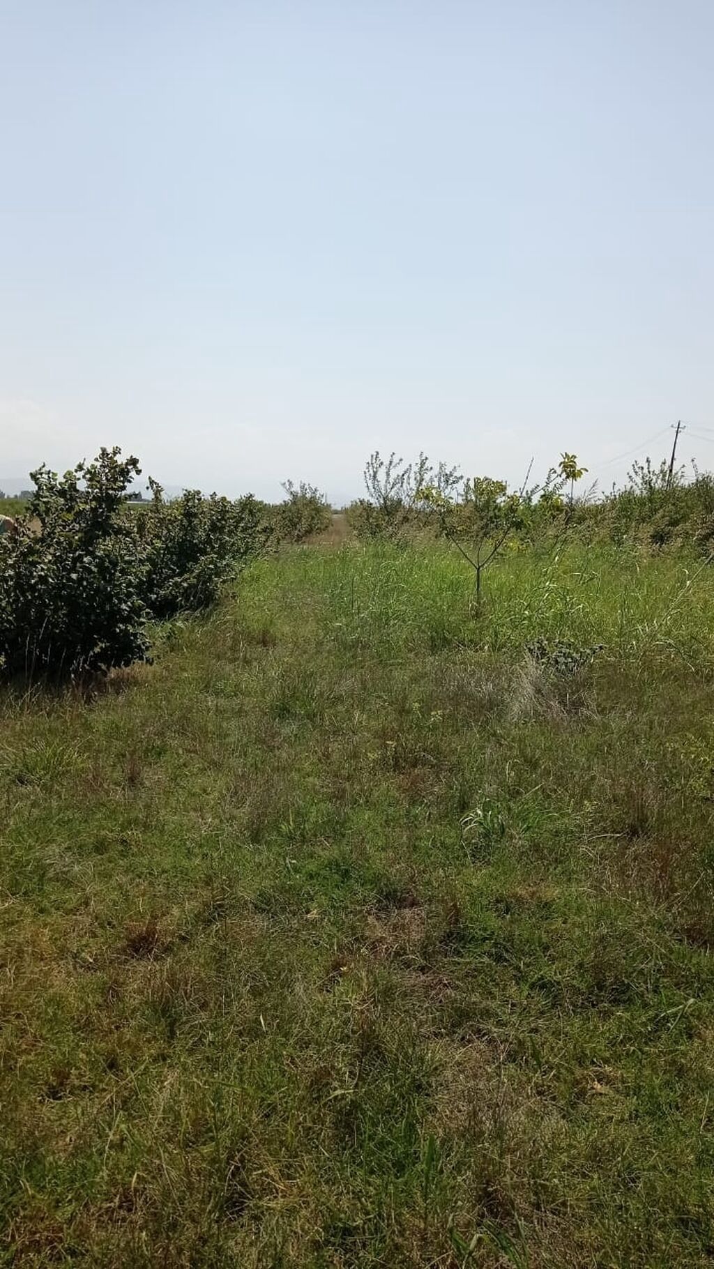 14 sot, Tikinti, Mülkiyyətçi, Kupça (Çıxarış) — Torpaq, Xaçmaz (2)