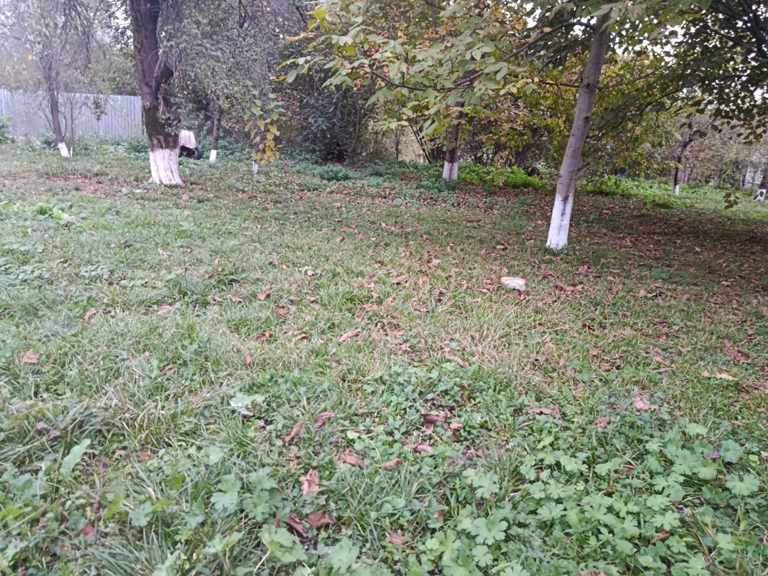 12 sot torpaq sahəsi, İsmayıllı r. — Torpaq, İsmayıllı (3)