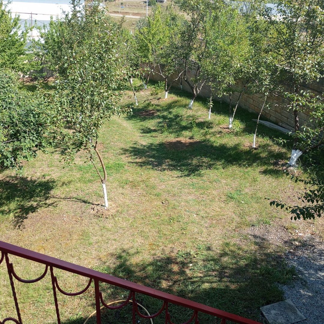 Həyət evi kirayə verilir, Şamaxı r. — Daşınmaz əmlak, Şamaxı (11)