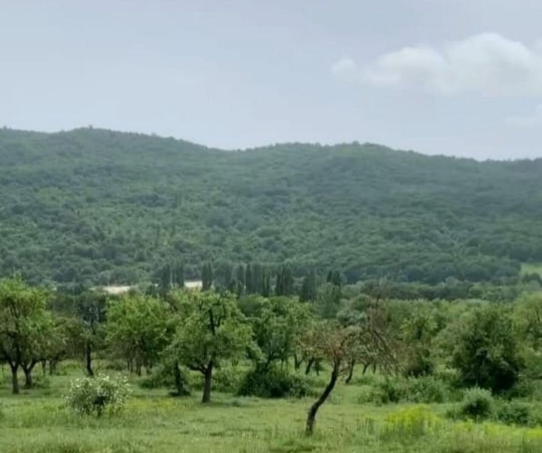 40 sot torpaq sahəsi, Quba r. — Torpaq, Quba (6)