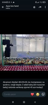 Dördbucaq akvarium, Balıqlarla birlikdə, 20 l — Gülər