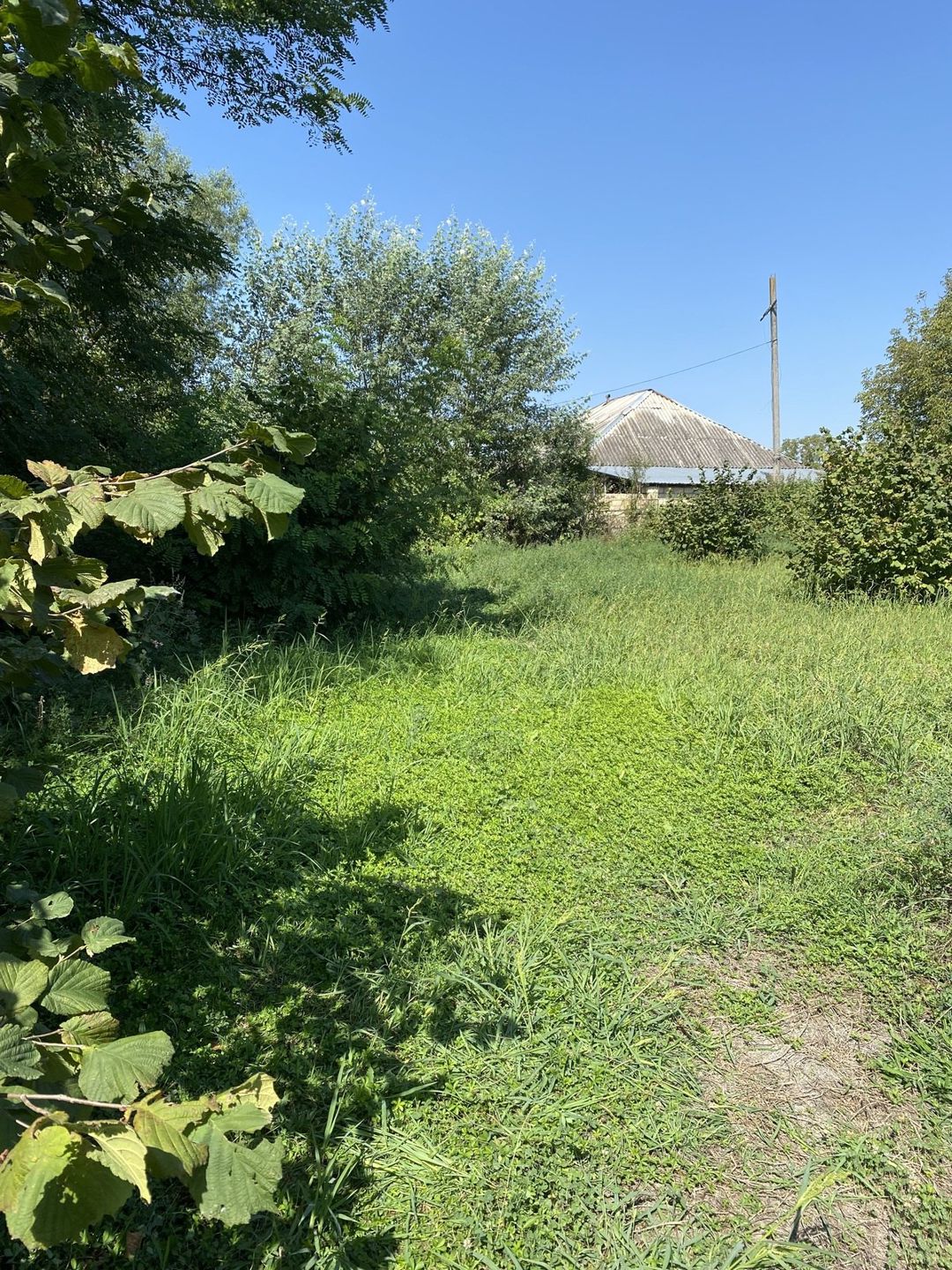 74 sot torpaq sahəsi, Oğuz r. — Torpaq, Oğuz (9)