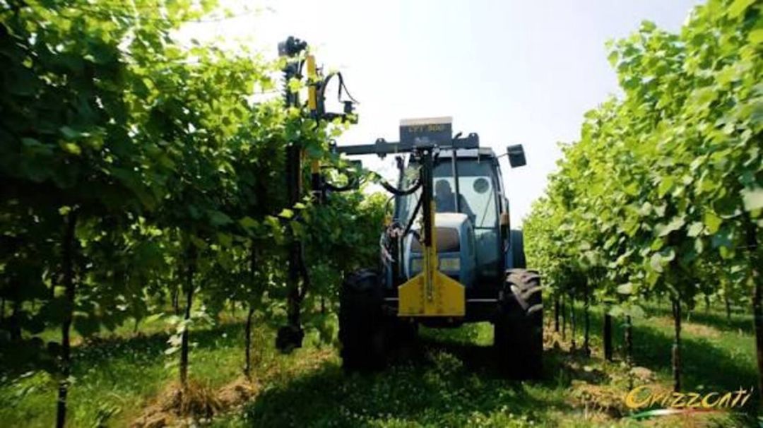 Vineyard Trimmer one-sided with segments Orizzonti CFT/300 — Avto, Bakı (2)